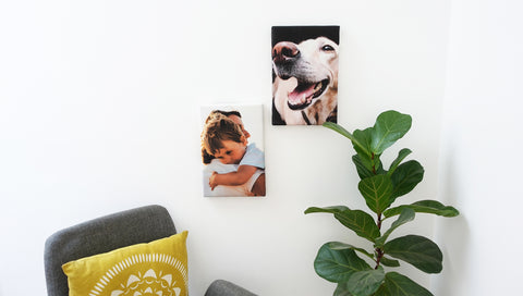 Canvas rectangular