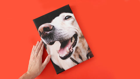 Canvas rectangular