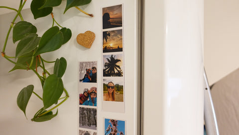 Pack de 6 Strips imantadas