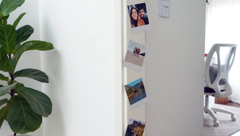 Pola Magnets