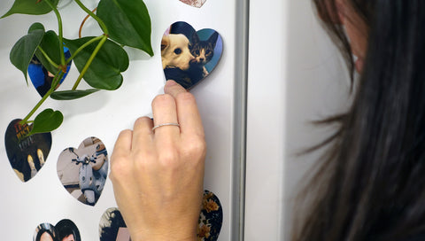 Love Magnets